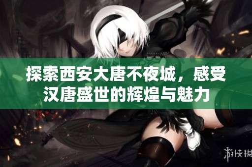探索西安大唐不夜城，感受汉唐盛世的辉煌与魅力