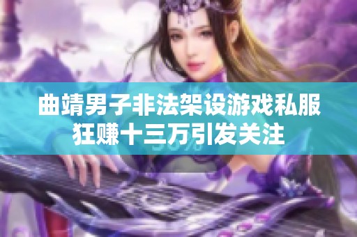 曲靖男子非法架设游戏私服狂赚十三万引发关注