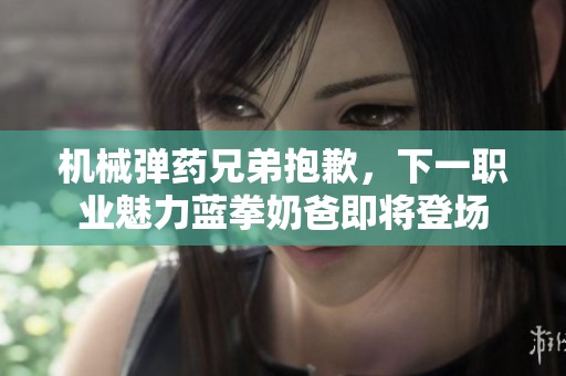 机械弹药兄弟抱歉，下一职业魅力蓝拳奶爸即将登场