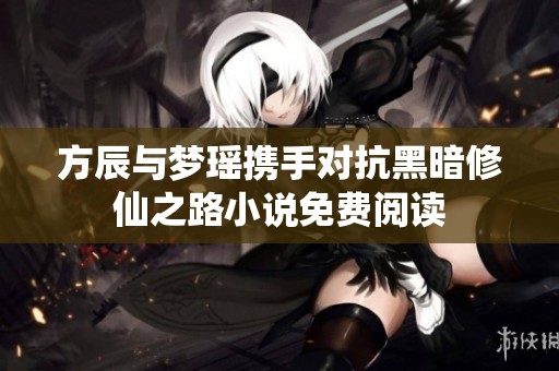 方辰与梦瑶携手对抗黑暗修仙之路小说免费阅读
