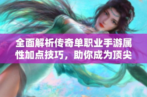 全面解析传奇单职业手游属性加点技巧，助你成为顶尖玩家