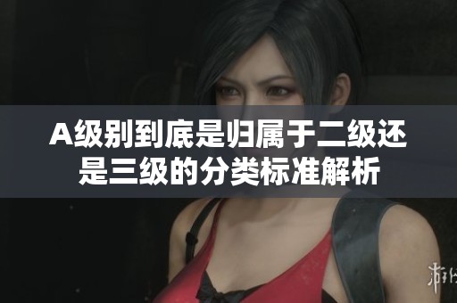 A级别到底是归属于二级还是三级的分类标准解析