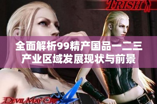 全面解析99精产国品一二三产业区域发展现状与前景