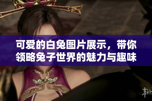 可爱的白兔图片展示，带你领略兔子世界的魅力与趣味