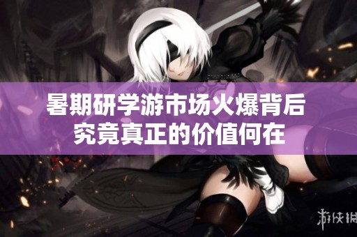 暑期研学游市场火爆背后 究竟真正的价值何在