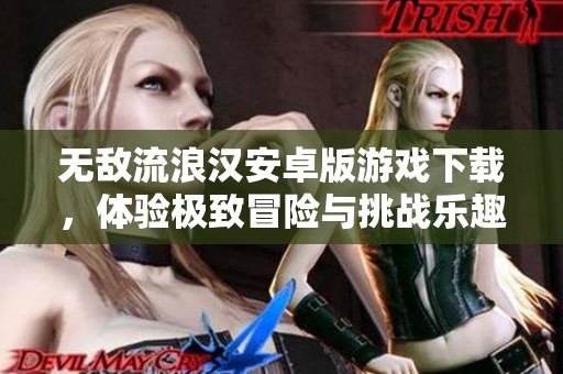 无敌流浪汉安卓版游戏下载，体验极致冒险与挑战乐趣