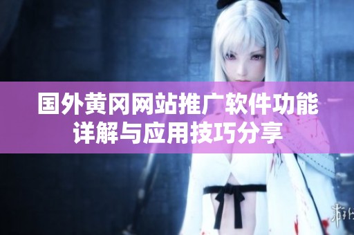 国外黄冈网站推广软件功能详解与应用技巧分享