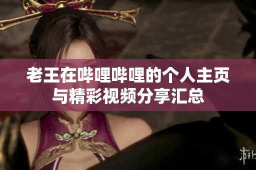 老王在哔哩哔哩的个人主页与精彩视频分享汇总