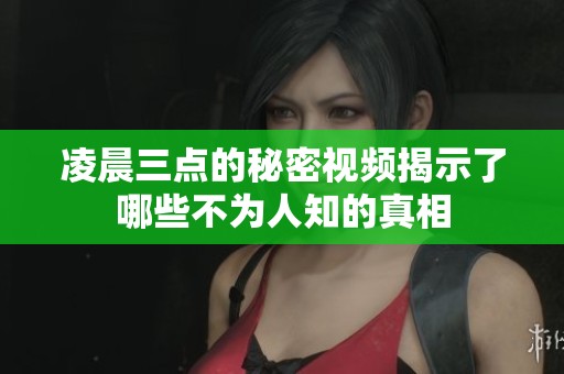 凌晨三点的秘密视频揭示了哪些不为人知的真相