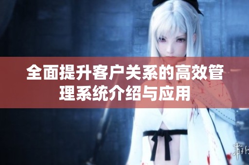 全面提升客户关系的高效管理系统介绍与应用