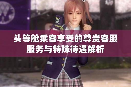 头等舱乘客享受的尊贵客服服务与特殊待遇解析