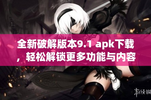 全新破解版本9.1 apk下载，轻松解锁更多功能与内容