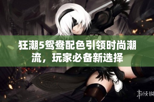 狂潮5鸳鸯配色引领时尚潮流，玩家必备新选择
