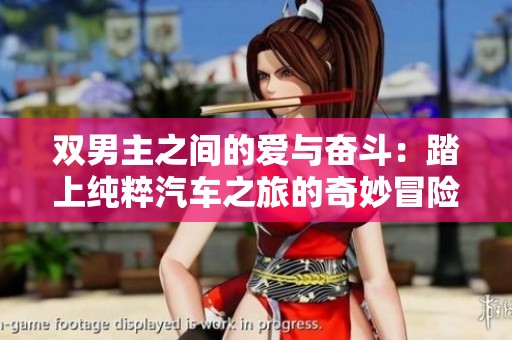 双男主之间的爱与奋斗：踏上纯粹汽车之旅的奇妙冒险