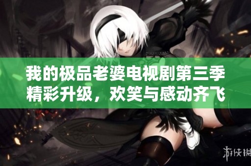 我的极品老婆电视剧第三季精彩升级，欢笑与感动齐飞跃