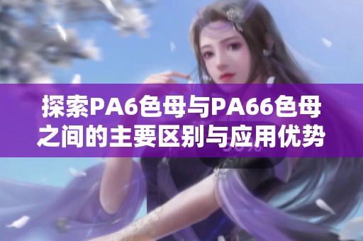 探索PA6色母与PA66色母之间的主要区别与应用优势