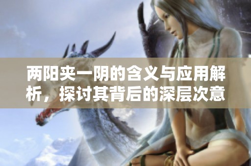 两阳夹一阴的含义与应用解析，探讨其背后的深层次意图