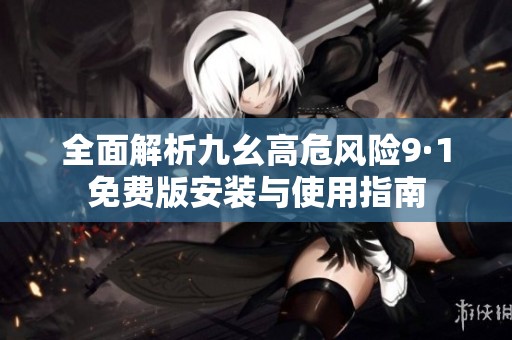 全面解析九幺高危风险9·1免费版安装与使用指南