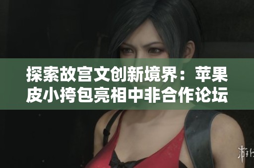 探索故宫文创新境界：苹果皮小挎包亮相中非合作论坛峰会