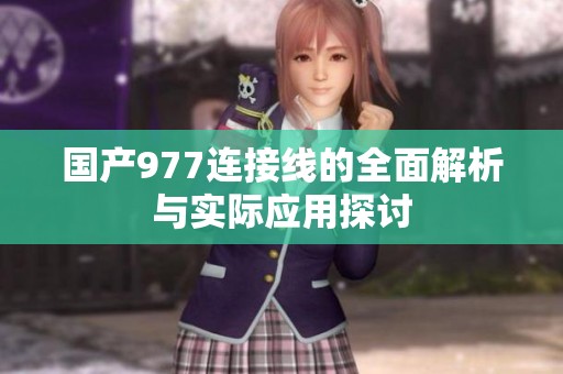 国产977连接线的全面解析与实际应用探讨