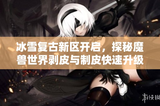 冰雪复古新区开启，探秘魔兽世界剥皮与制皮快速升级技巧