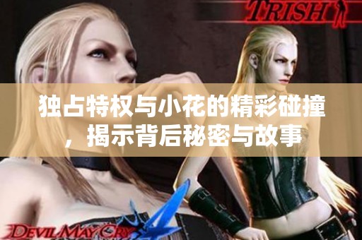 独占特权与小花的精彩碰撞，揭示背后秘密与故事
