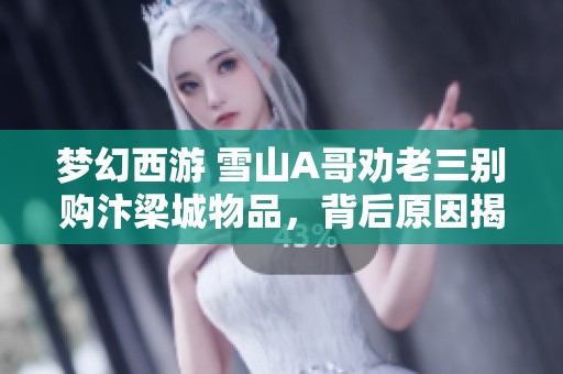 梦幻西游 雪山A哥劝老三别购汴梁城物品，背后原因揭晓