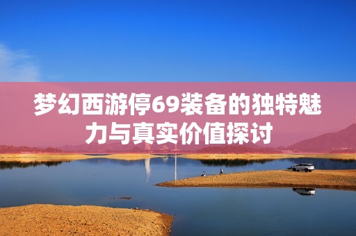 梦幻西游停69装备的独特魅力与真实价值探讨