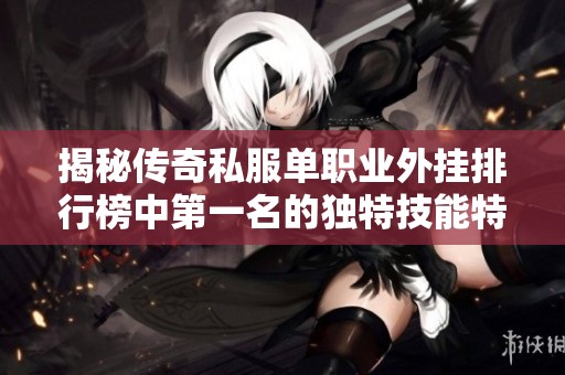 揭秘传奇私服单职业外挂排行榜中第一名的独特技能特点