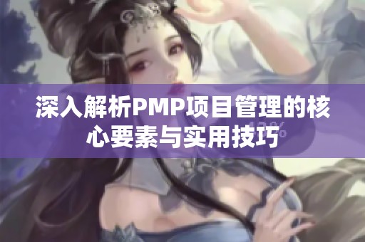深入解析PMP项目管理的核心要素与实用技巧