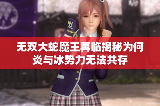 无双大蛇魔王再临揭秘为何炎与冰势力无法共存