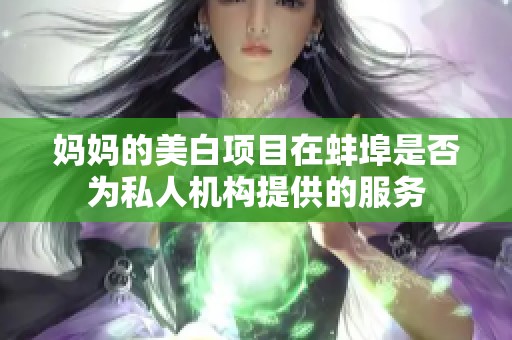 妈妈的美白项目在蚌埠是否为私人机构提供的服务