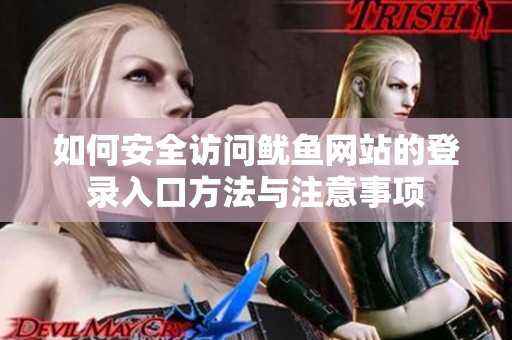 如何安全访问鱿鱼网站的登录入口方法与注意事项