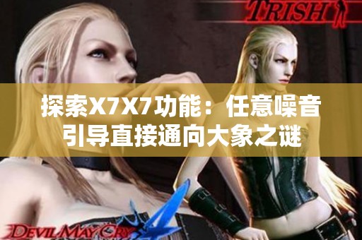 探索X7X7功能：任意噪音引导直接通向大象之谜