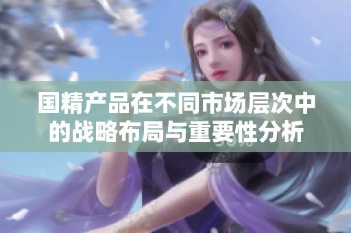 国精产品在不同市场层次中的战略布局与重要性分析