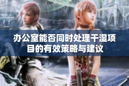 办公室能否同时处理干湿项目的有效策略与建议