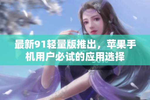 最新91轻量版推出，苹果手机用户必试的应用选择