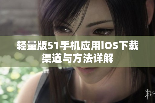 轻量版51手机应用iOS下载渠道与方法详解