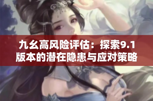 九幺高风险评估：探索9.1版本的潜在隐患与应对策略
