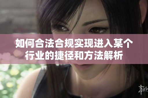如何合法合规实现进入某个行业的捷径和方法解析