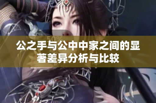 公之手与公中中家之间的显著差异分析与比较